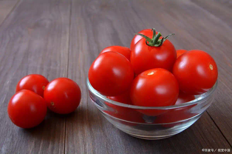 蕃茄如何种植技术