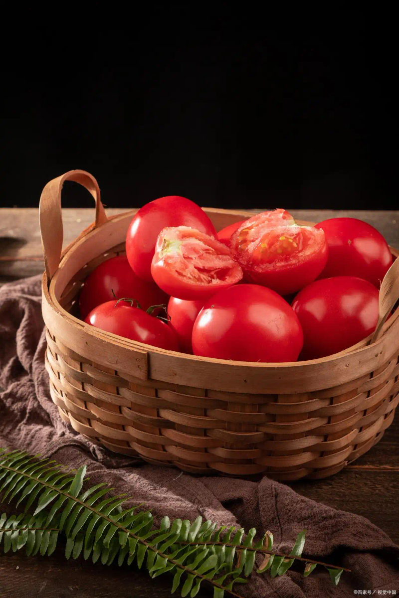 蕃茄如何种植技术