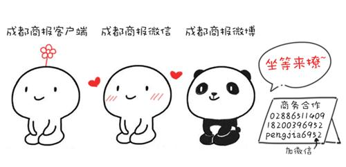 成都电脑城维修