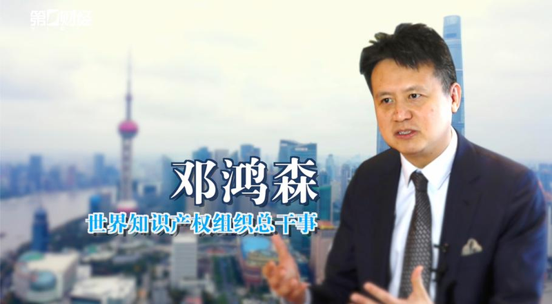 知识产权国际化对发展中国家