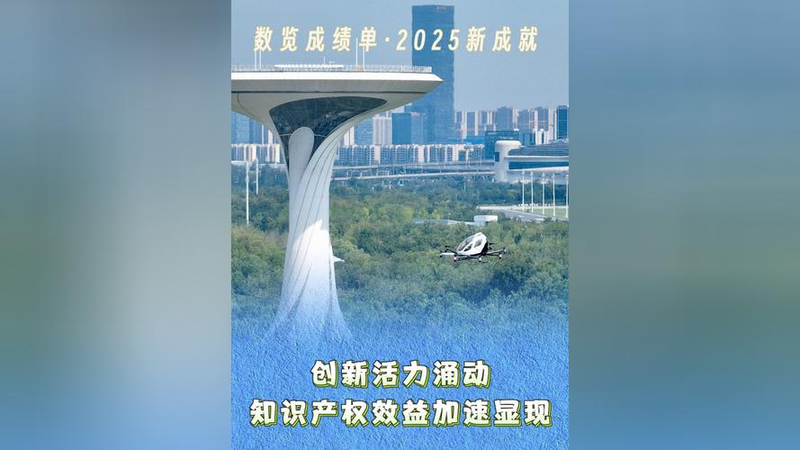 知识产权国际化对发展中国家