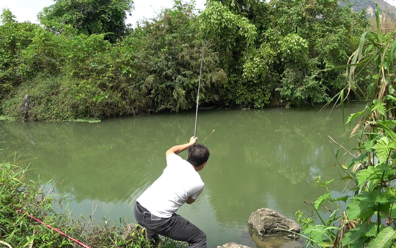 微信彩票欢乐钓鱼规律