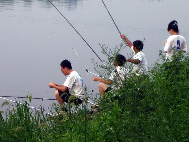 微信彩票欢乐钓鱼规律