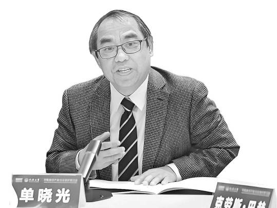 知识产权国际化对发展中国家