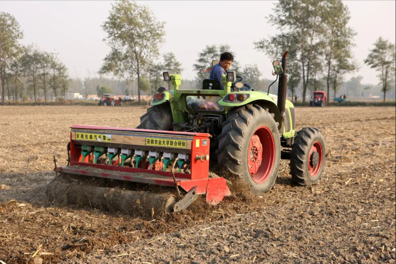 玉米高产种植技术