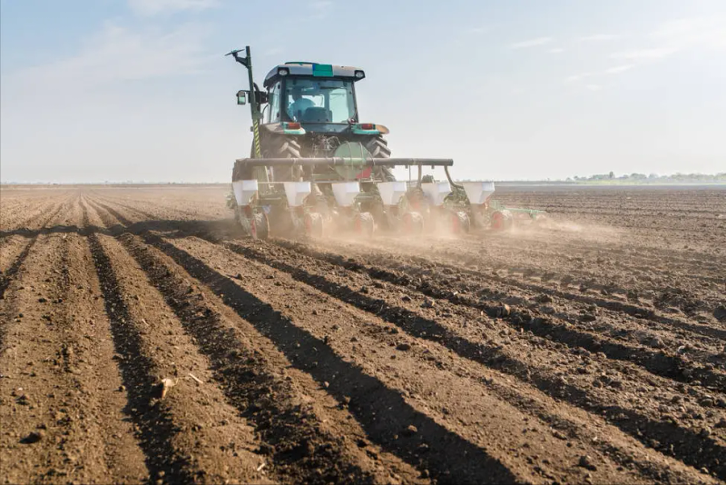 玉米高产种植技术