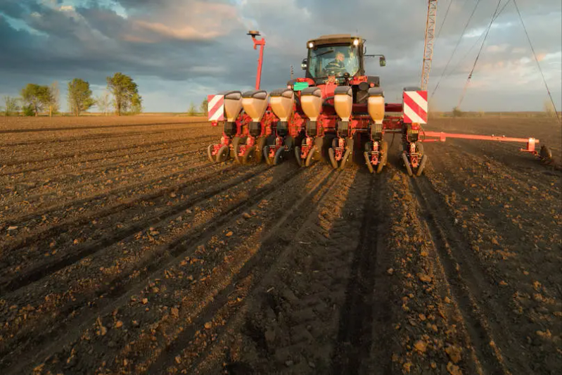 玉米高产种植技术