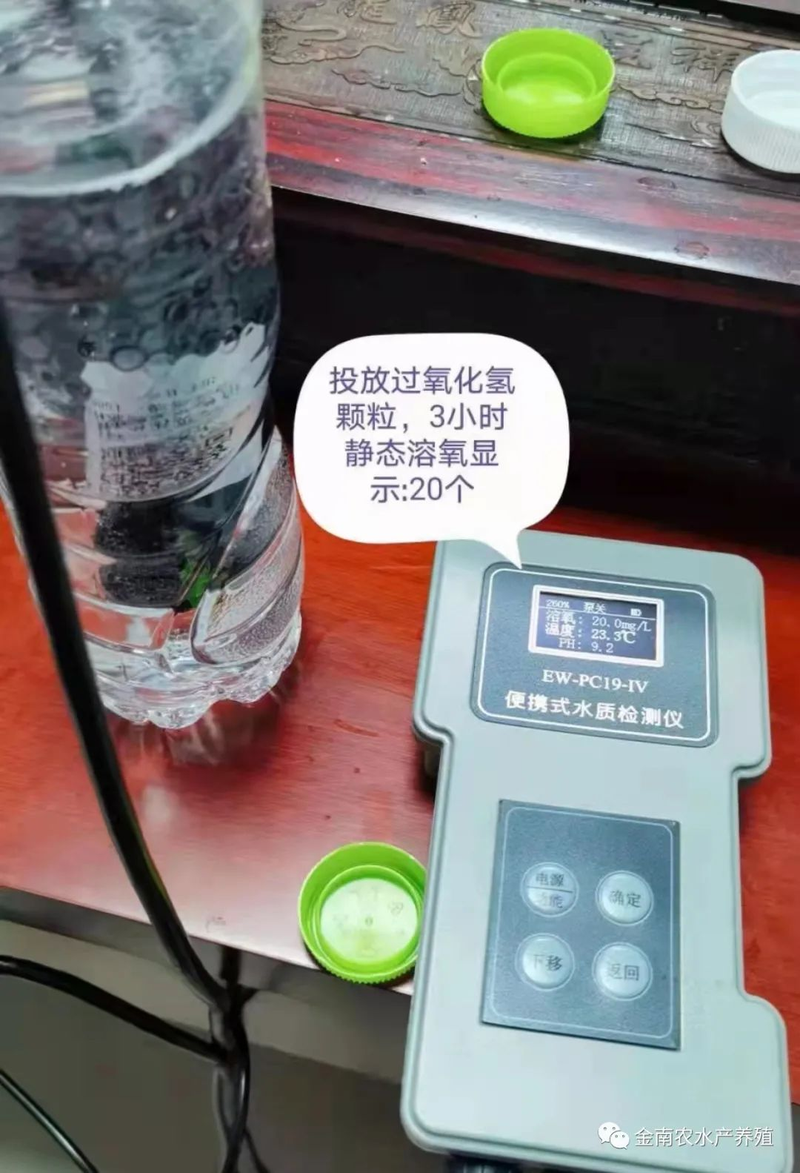 伊乐藻种植方法图片