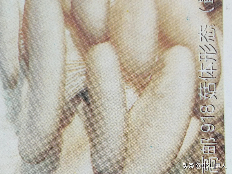 最新平菇种植技术