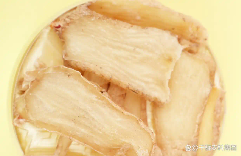 天麻人工种植技术