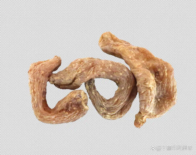 天麻人工种植技术