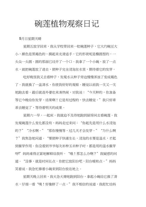 碗莲的种植方法详 65533