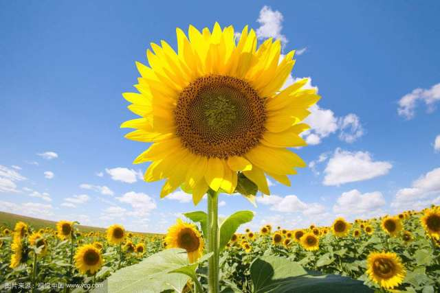 八字起名与取用神的方法