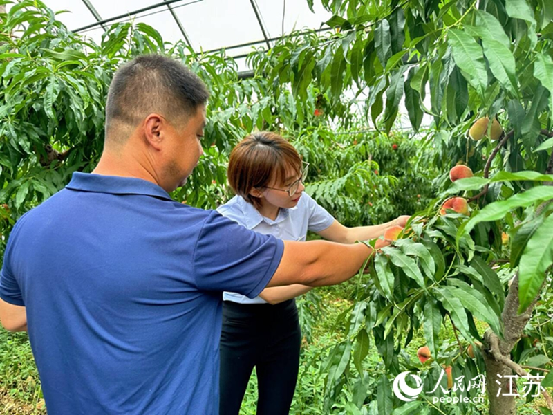 水蜜桃的种植技术