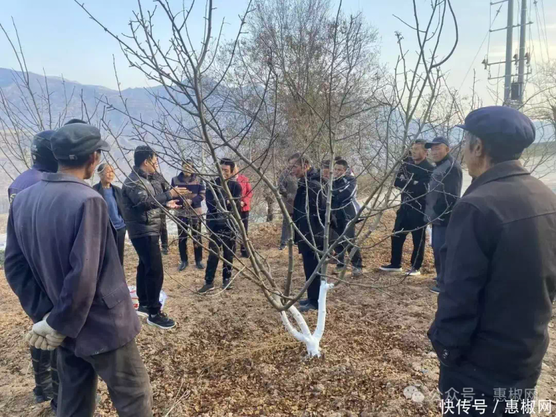 花椒的种植方法