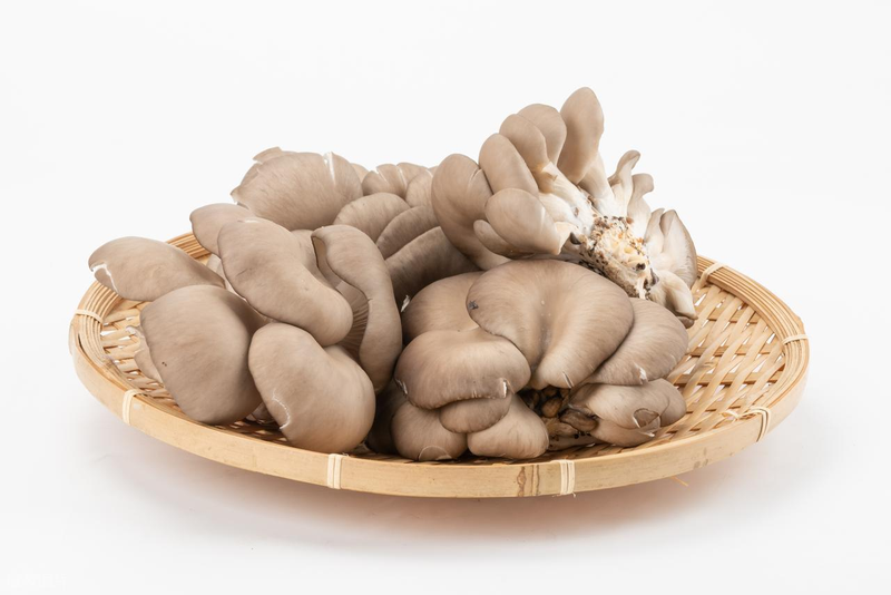 最新平菇种植技术