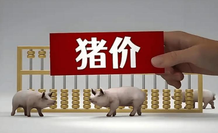 河南省猪价行情