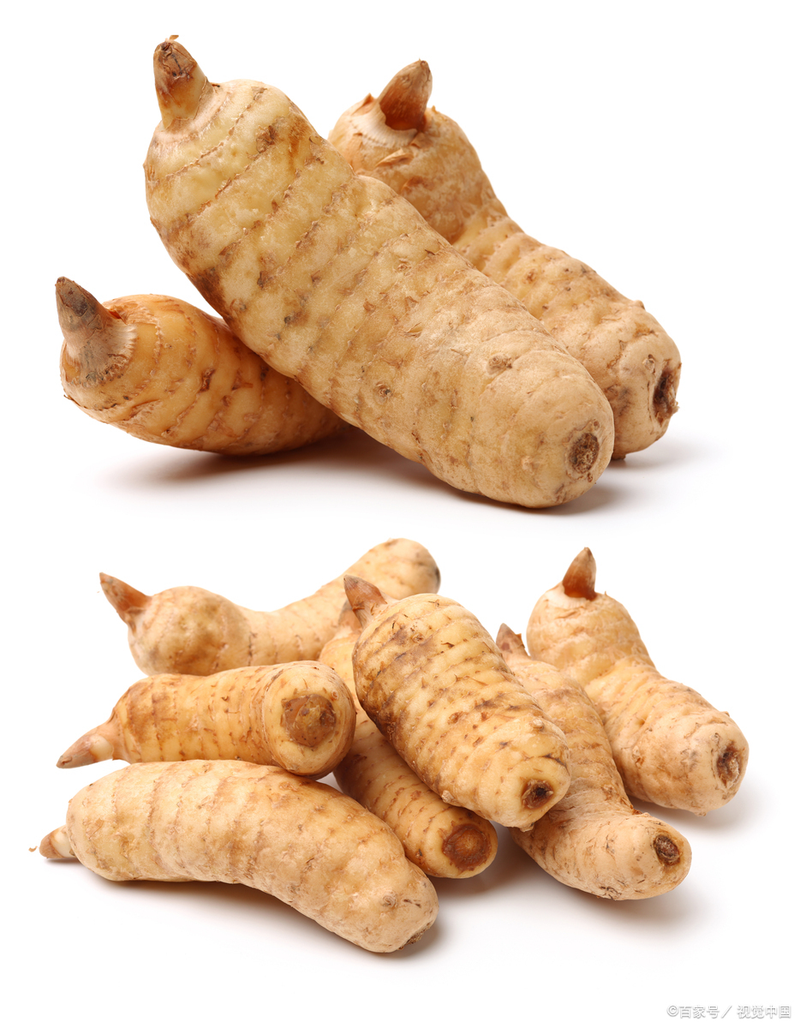 天麻人工种植技术