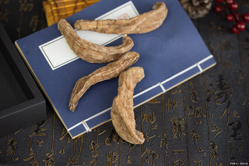 天麻人工种植技术