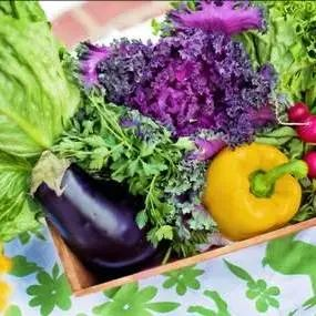 儿童窝沟封闭知识