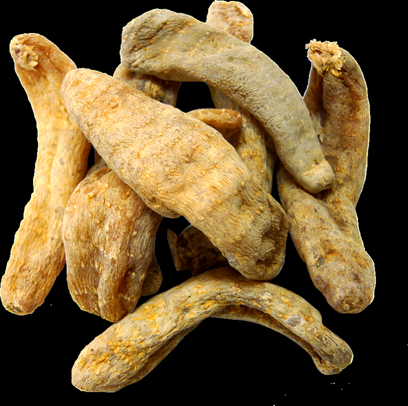 天麻人工种植技术