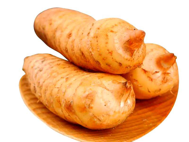 天麻人工种植技术