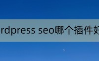 seo最新技术