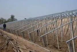 大棚黄瓜种植技术冬季