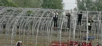 大棚黄瓜种植技术冬季