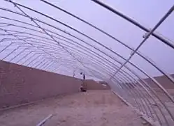 大棚黄瓜种植技术冬季