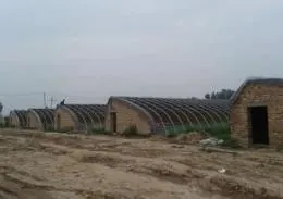 大棚黄瓜种植技术冬季