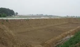 大棚黄瓜种植技术冬季