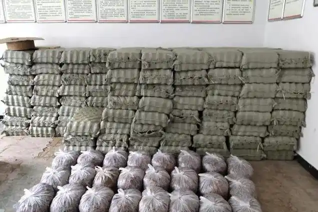 天麻人工种植技术