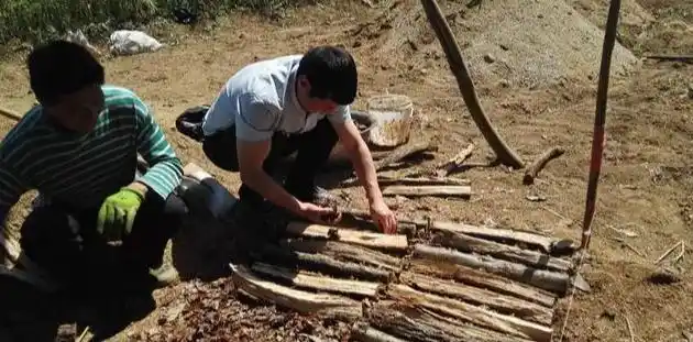 天麻人工种植技术