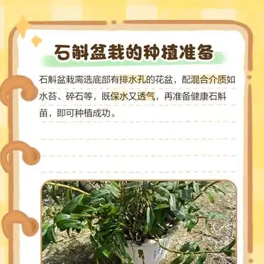 石斛盆景怎么种植方法