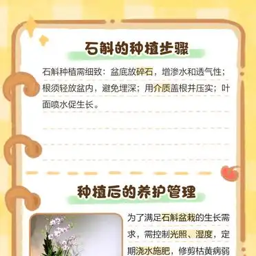 石斛盆景怎么种植方法