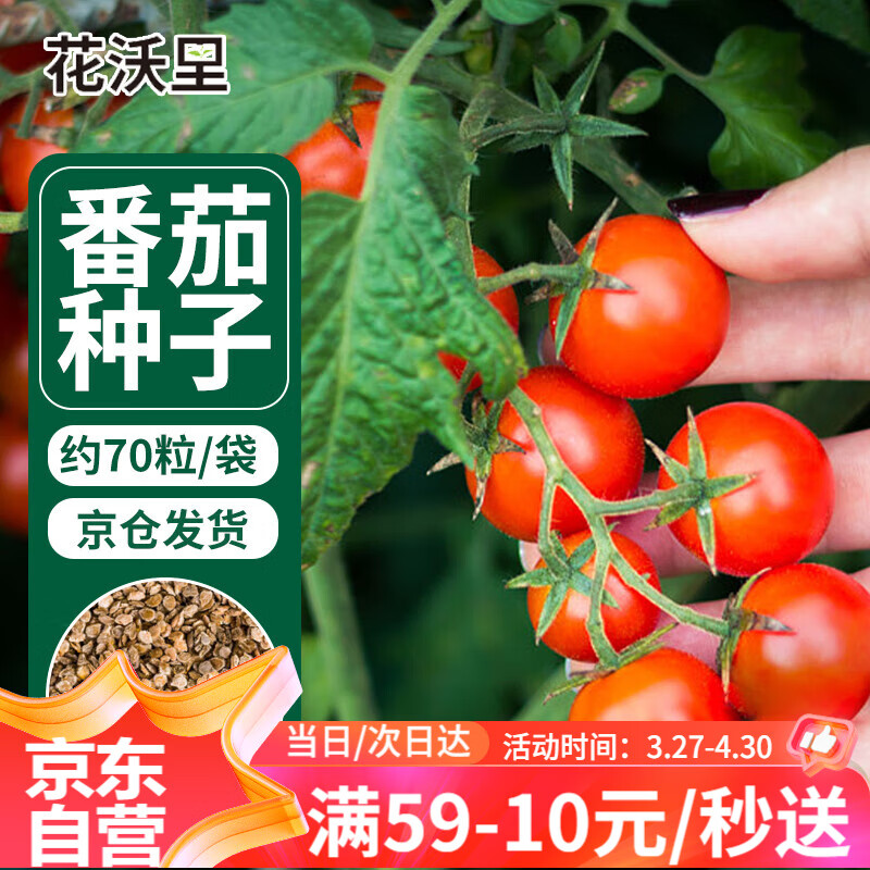 番茄的种植方法