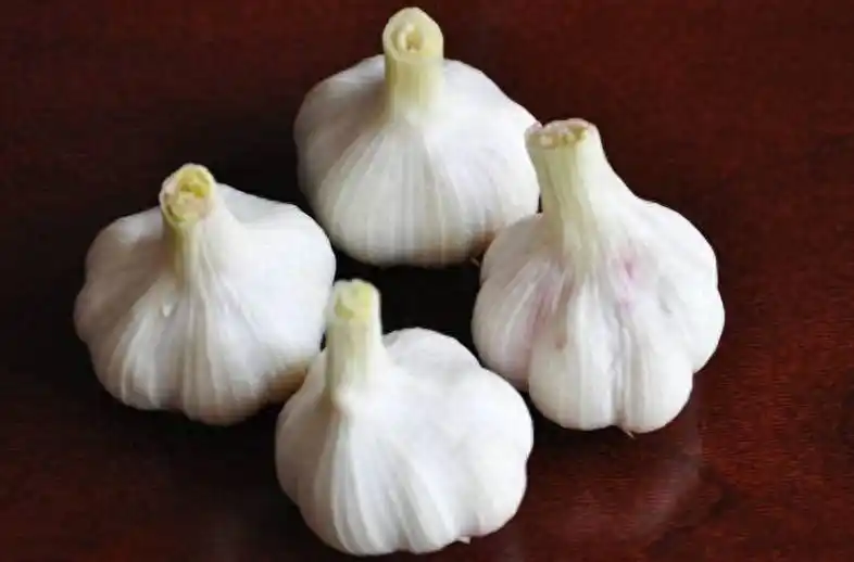 大蒜覆膜种植技术