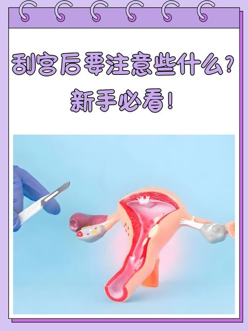 人流术前消毒步骤