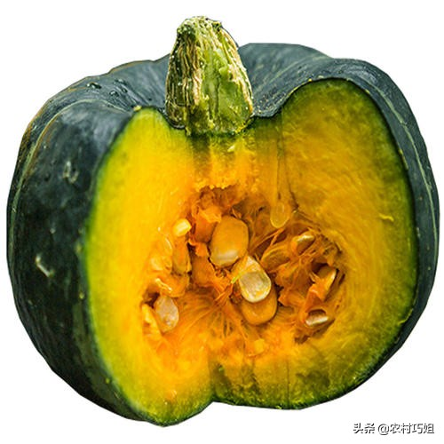 无蔓南瓜种植技术