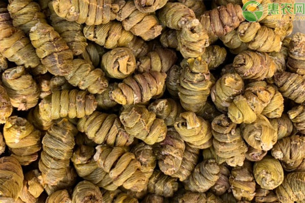 石斛盆景怎么种植方法