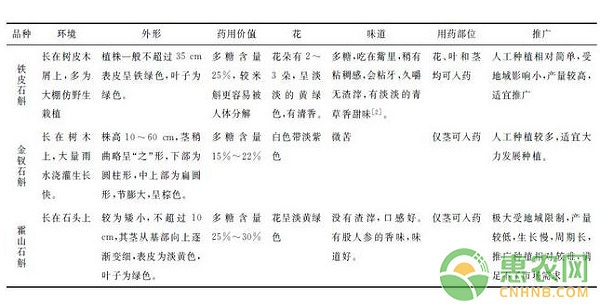 石斛盆景怎么种植方法