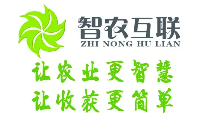 大蒜覆膜种植技术