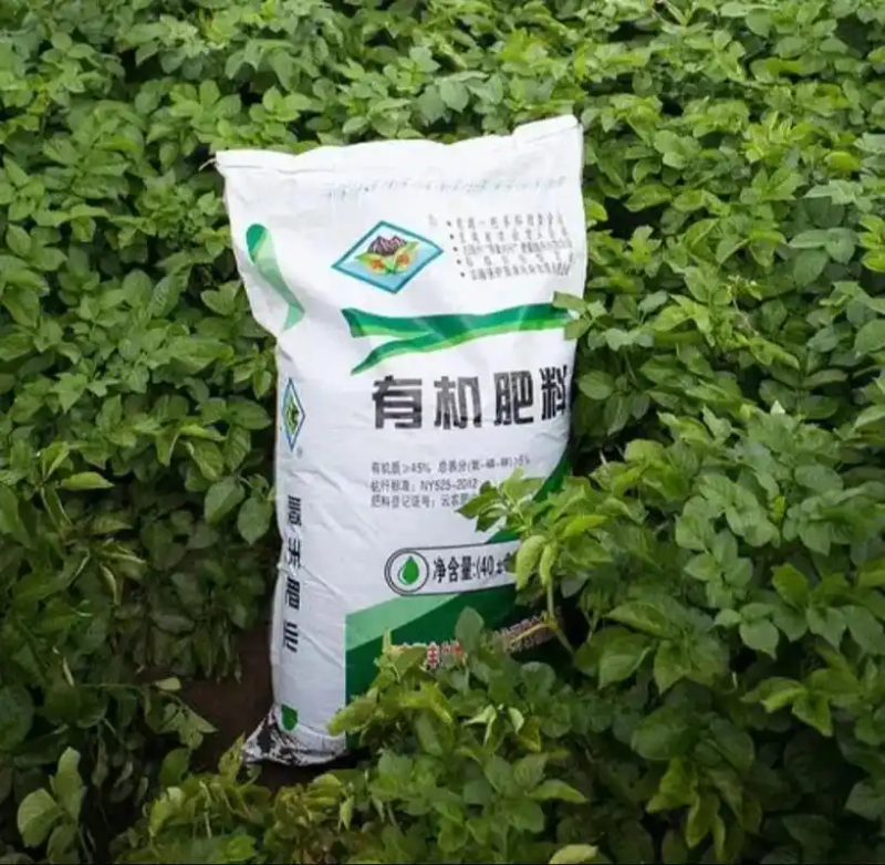 大蒜覆膜种植技术