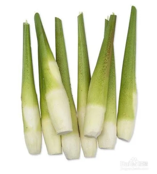 茭白种植技术视频