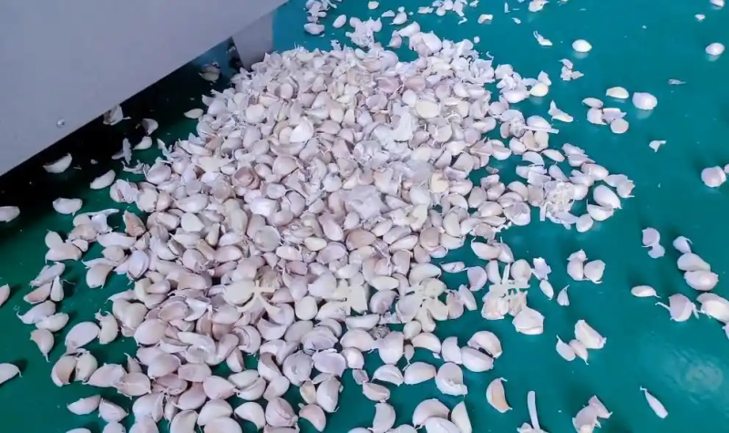 大蒜覆膜种植技术