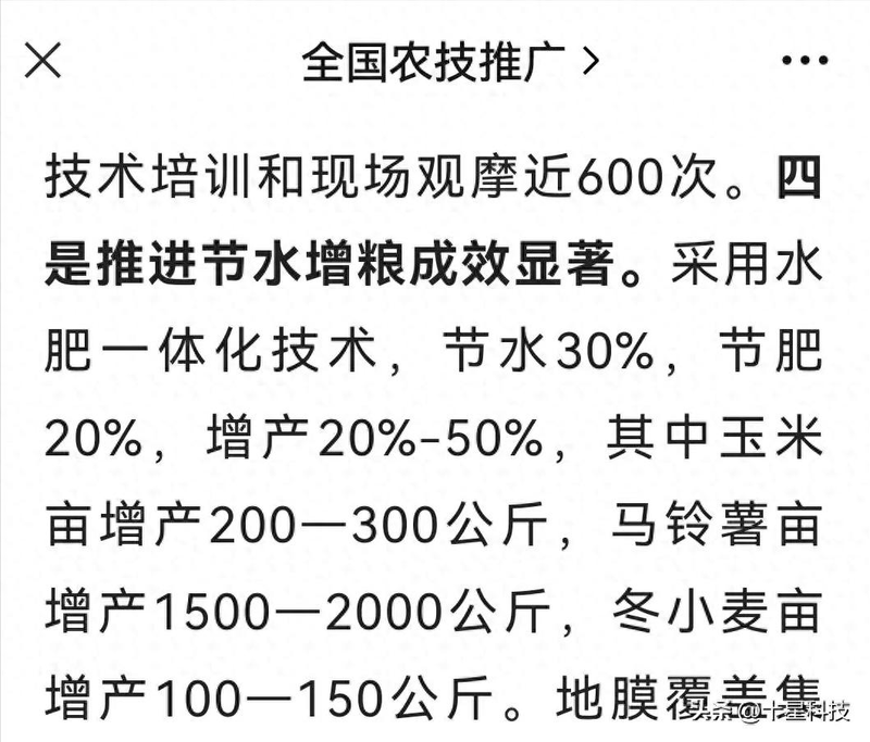 白头霜玉米品种特点