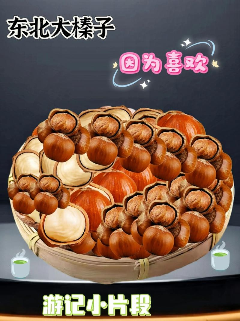 美国大榛子 种植技术