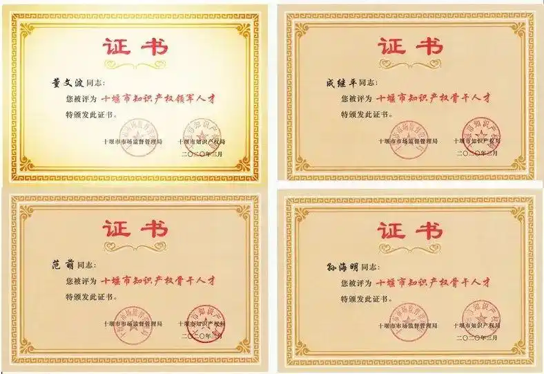 知识产权专业就业感受