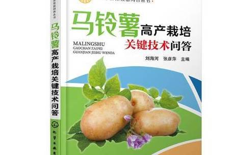 马铃薯 种植技术